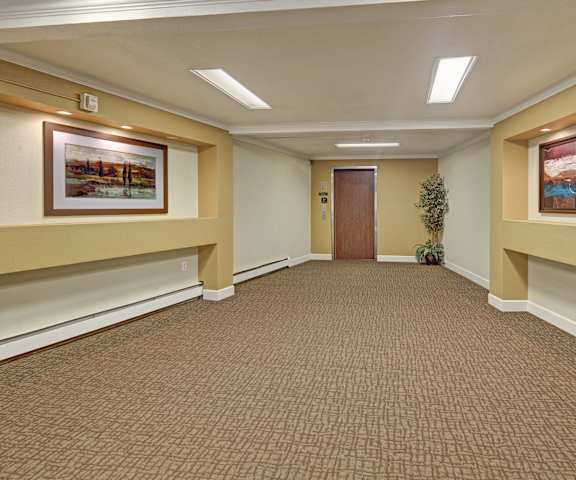 The community hallway with yellow and white walls, artwork, and plants at Taiga Apartment Homes. 