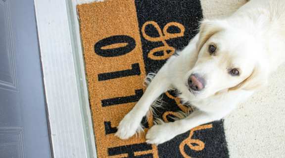 A dog is lying on a doormat with the word "welcome" written on it.