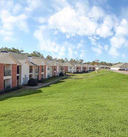large lawn