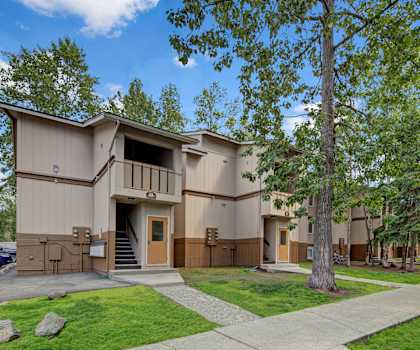 A building with a brown door and windows is surrounded by trees.