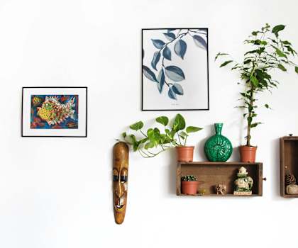 a shelf with plants and pictures on a white wall