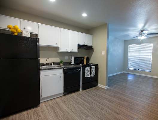 kitchen with black appliances