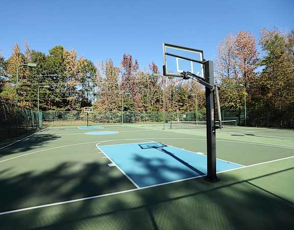 basketball court
