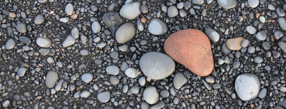 Rock Image at Marina Village Apartments