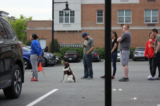 a group of people standing in a parking lot with a dog on a leash