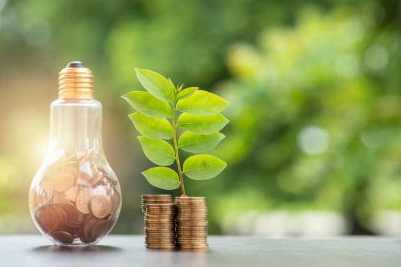 a plant growing out of a jar filled with coins