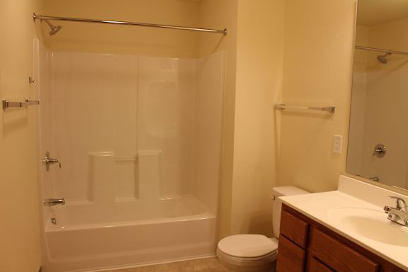 a bathroom with a shower toilet and sink