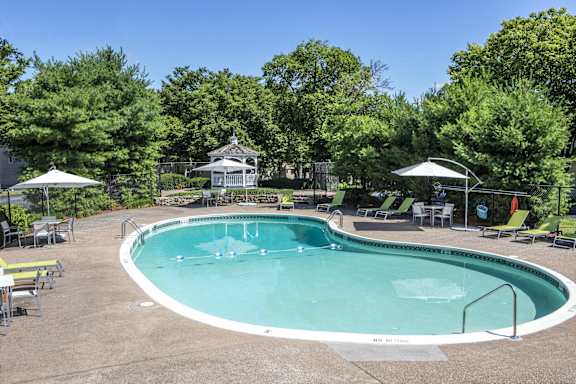 A pool surrounded by trees and chairs.