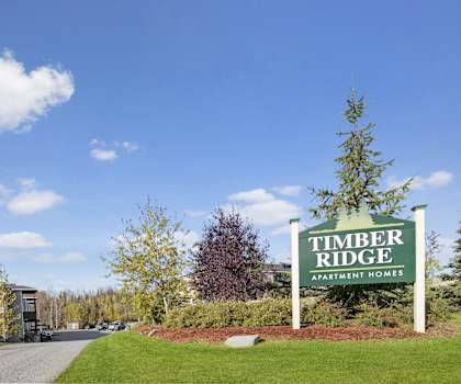 The exterior sign surrounded by rocks and a large tree behind it with the buildings in the background of Timber Ridge Apartment Homes. 