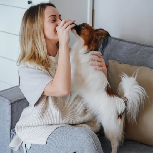 a woman sitting on a couch playing with her dog