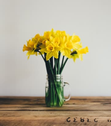 Yellow Flowers in Vase on Wood Table