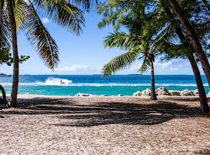 A beach scene with palm trees and a surfer in the water.