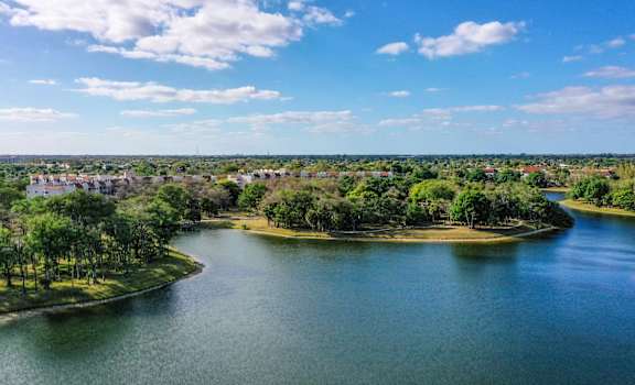 an aerial view of a body of water with trees and buildings