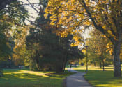 Thumbnail 4 of 8