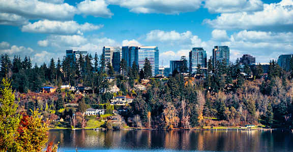 A city skyline is seen through a foreground of trees and water.