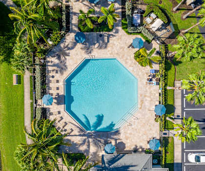 Swimming Pool at Bay Harbor, Fort Myers, FL, 33919