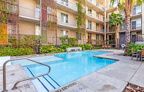 Resort style swimming pool with tropical landscaping at 1221 Broadway Lofts, San Antonio, Texas