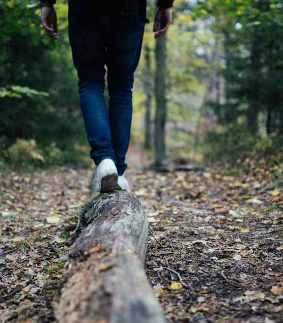 A person is walking on a log in a forest at The Bessemer at Seward Commons Apartments, Minnesota
