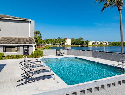A pool with lounge chairs and a palm tree in front of a building.