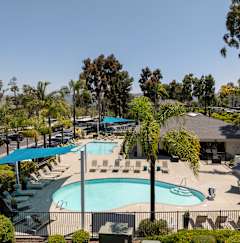 A pool surrounded by trees and chairs.