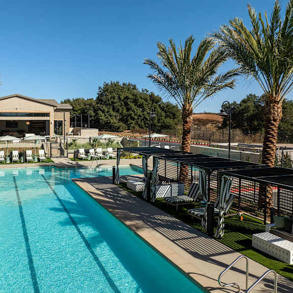 A large swimming pool surrounded by palm trees and lounge chairs.