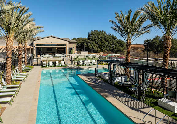 A large swimming pool surrounded by palm trees and lounge chairs.