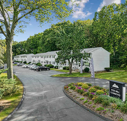 A sign for Fox Hill Commons is visible in the foreground of a tree-lined street.