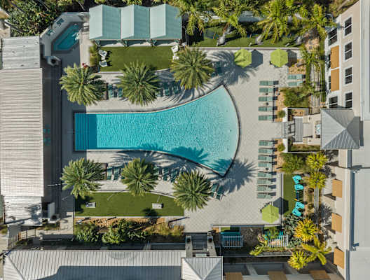 A swimming pool surrounded by palm trees and lounge chairs.