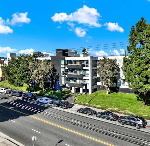 A street view of a residential area with cars parked on the side of the road.