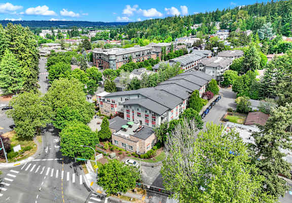 A view of a street with buildings and trees.
