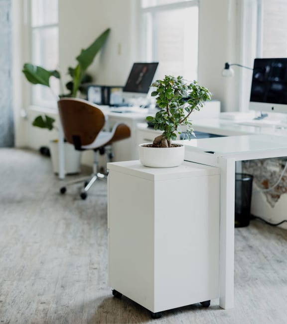 a white desk in an office with a plant on it