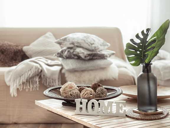 A cozy living room with a couch, a coffee table, and a plant.