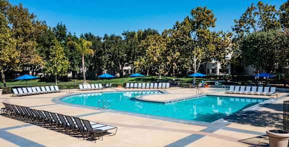 A large swimming pool surrounded by trees and lounge chairs at The Woods Apartments, California