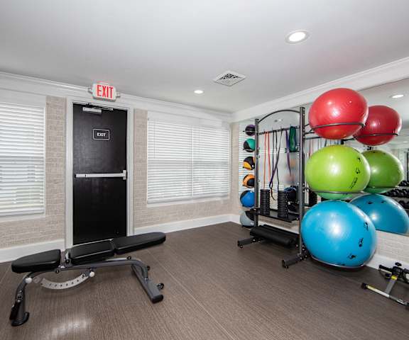 A gym with a bench, weights, and a mirror.