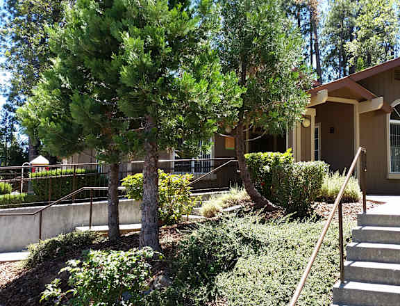 a brown house with stairs and trees in front of it