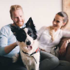 A man and woman sitting on a couch with a black and white dog in front of them.