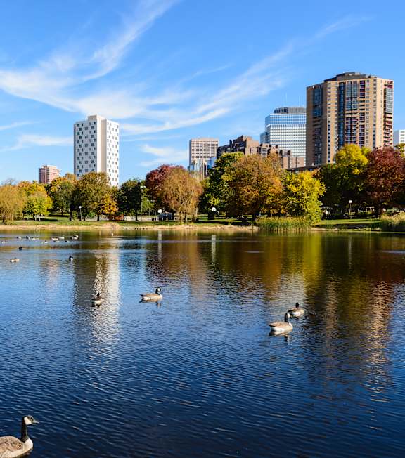 A group of geese swim in a lake with a city skyline in the background.