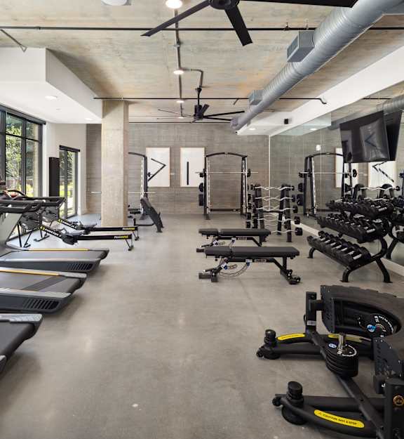 the gym has plenty of exercise bikes and treadmills