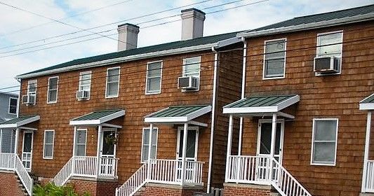a row of houses with a green roof