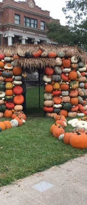 a display of pumpkins in front of a building