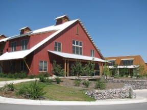 Landscaping and Building