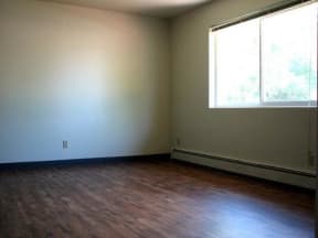 Hardwood floor and window