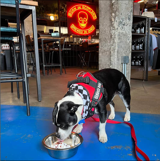 Brewdog Cleveland at TREO Apartments, Ohio