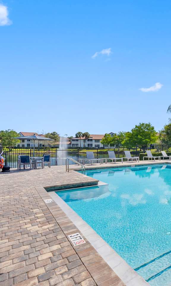 A large outdoor swimming pool surrounded by palm trees.
