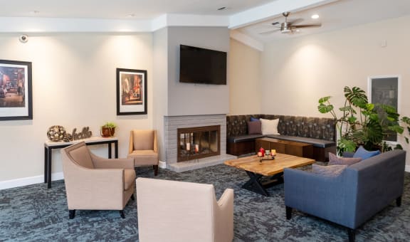 BCV Renovated Clubhouse with Sittine area, fireplace, and Monstera in view