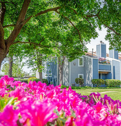 Exterior View of Chesapeake Commons