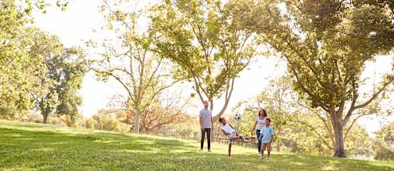 A family of four is enjoying a sunny day in the park.