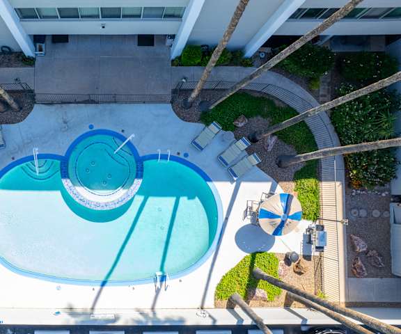 A swimming pool surrounded by palm trees and lounge chairs.