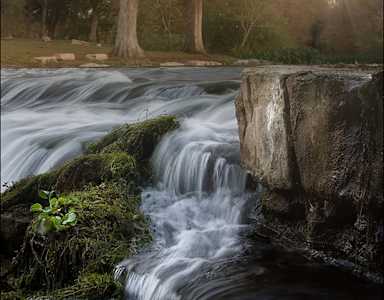 A small waterfall flows over a rock in a forest.