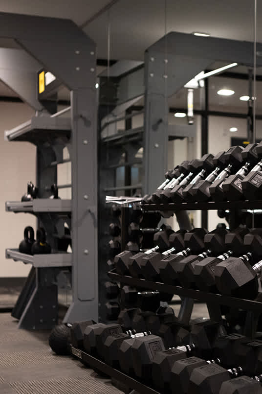 Fitness Room at The Standard Apartments, Allentown